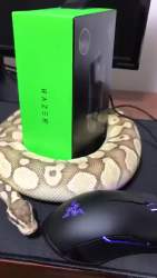 1022791 B