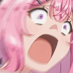 44219 B