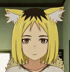 56888 B