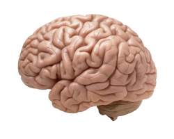 57127 B