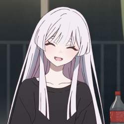 50394 B