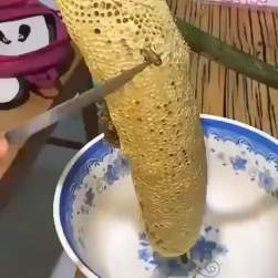 848534 B