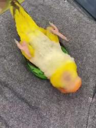 1095776 B