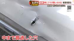 57958 B