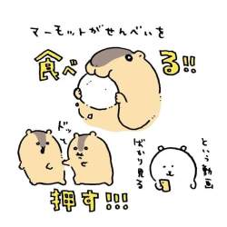 35863 B