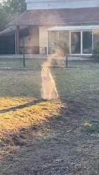 1144318 B