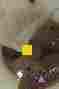 607 B