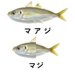 702344 B