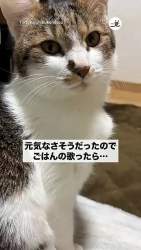 1003340 B