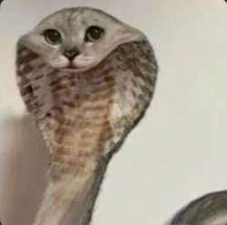 78376 B