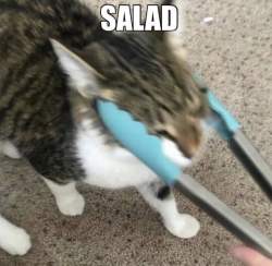 60878 B